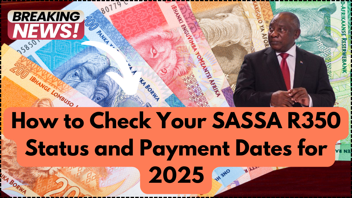 How to Check Your SASSA R350 Status and Payment Dates for 2025