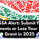 SASSA Alert: Submit Your Documents or Lose Your Social Grant in 2025