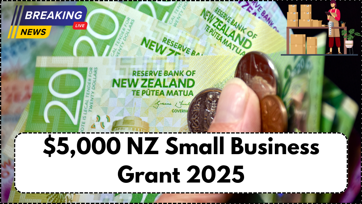 $5,000 NZ Small Business Grant 2025 – Eligibility and Payment Process