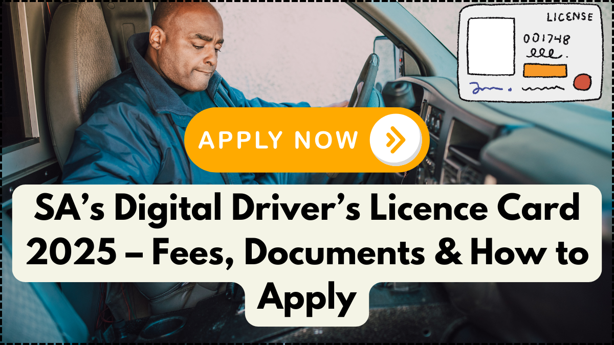 SA’s Digital Driver’s Licence Card 2025 – Fees, Documents & How to Apply