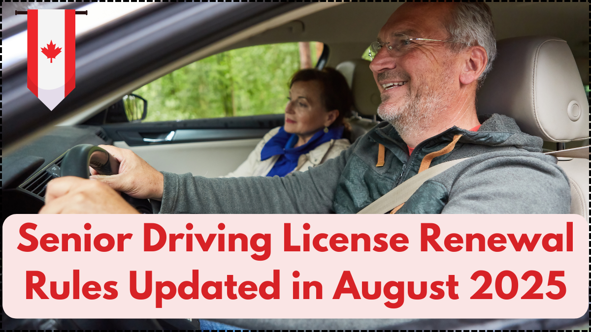 Senior Driving License Renewal Rules Updated in August 2025 – What to Know