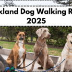 Auckland Dog Walking Rules 2025 – Leash Laws and Park Timings Explained