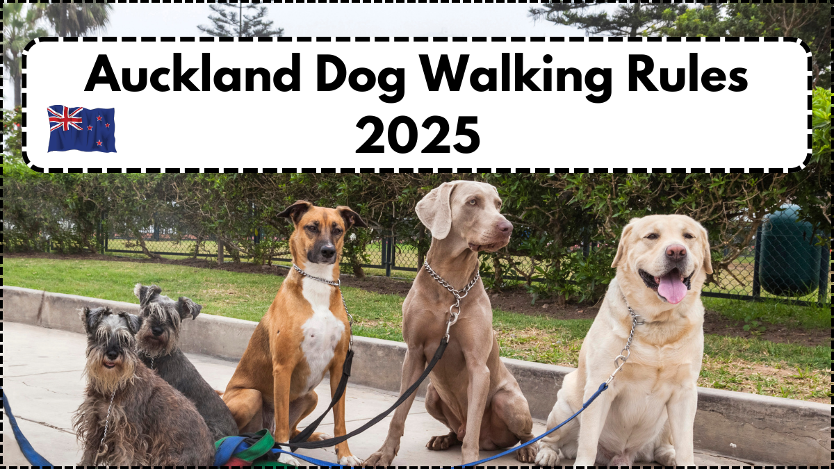Auckland Dog Walking Rules 2025 – Leash Laws and Park Timings Explained